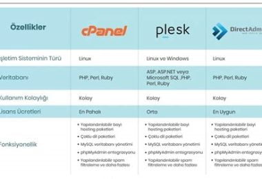 Hosting Kontrol Panelleri Karşılaştırması (Cpanel DirectAdmin Plesk)