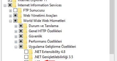 Localhost Nedir? Localhost Kurulu ve Tüm Merak Edilenler