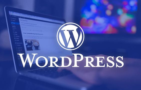 WordPress Güvenlik Taraması Nasıl Yapılır? 