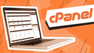 cpanel | Hız Hosting - Blog
