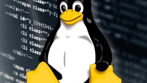 SSH’ta MySQL ve Apache servisleri nasıl başlatılır ve durdurulur?